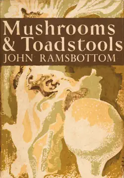 mushrooms and toadstools book cover image