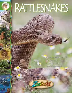 zoobooks rattlesnakes book cover image