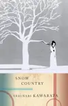 Snow Country synopsis, comments