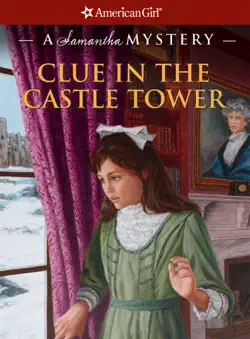 clue in the castle tower book cover image