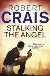 Stalking The Angel sinopsis y comentarios