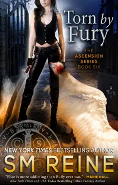 torn by fury book cover image