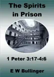 The Spirits in Prison book summary, reviews and download