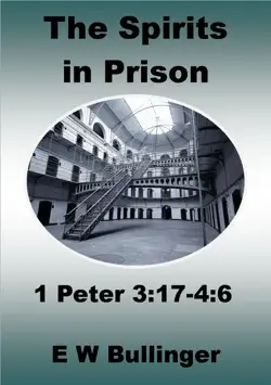 the spirits in prison book cover image