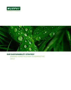 sustainability strategy book cover image
