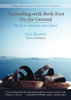 ascending with both feet on the ground book cover image