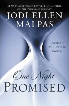 one night: promised book cover image