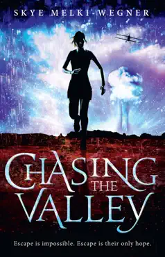 chasing the valley book cover image