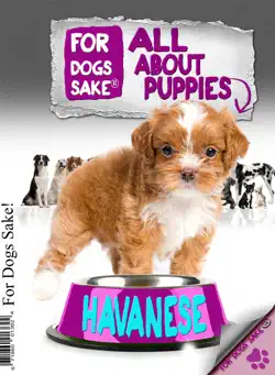 all about havanese puppies book cover image