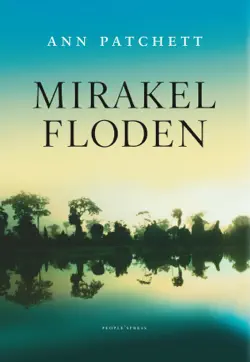 mirakelfloden book cover image