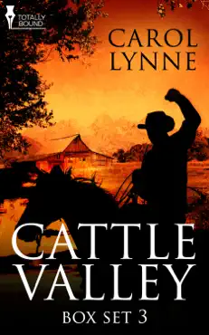 cattle valley box set 3 book cover image