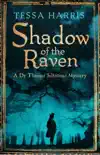 Shadow of the Raven sinopsis y comentarios