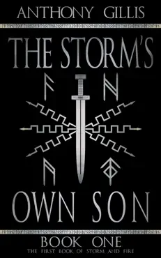 the storm's own son: book one book cover image