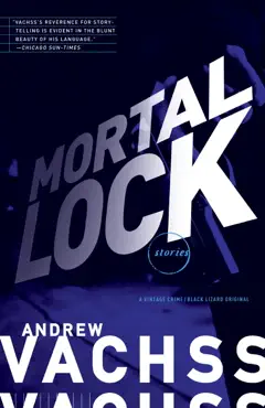 mortal lock book cover image