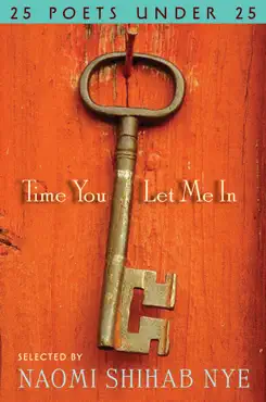 time you let me in book cover image