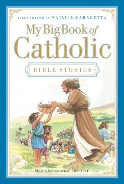 my big book of catholic bible stories book cover image