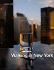 Walking in New York sinopsis y comentarios