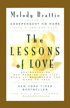 the lessons of love book cover image