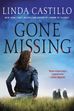gone missing book cover image