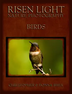 risen light nature photography of birds book cover image