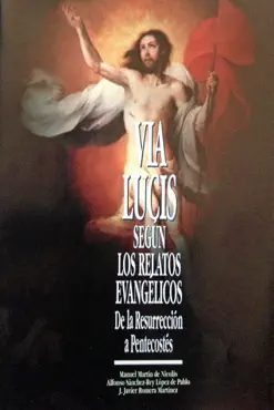 via lucis según los relatos evangélicos imagen de la portada del libro