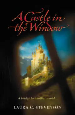 castle in the window book cover image
