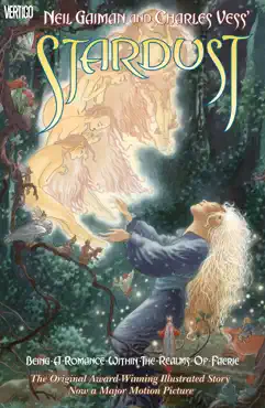 neil gaiman & charles vess' stardust book cover image