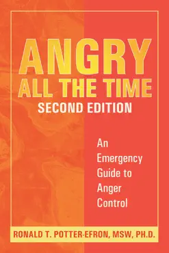 angry all the time book cover image