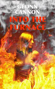 into the furnace book cover image