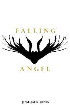 falling angel book cover image