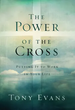 the power of the cross book cover image