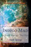 Indigo Mad synopsis, comments