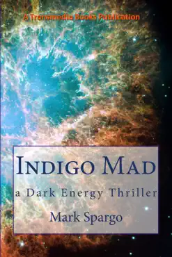 indigo mad book cover image