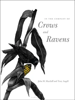 in the company of crows and ravens book cover image