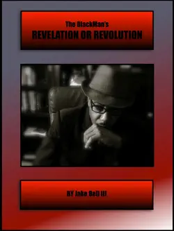 revelation or revolution book cover image