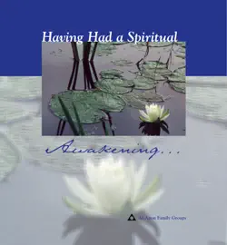 having had a spiritual awakening book cover image
