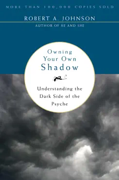 owning your own shadow book cover image
