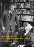 Meine Begegnungen mit C.G. Jung und Hermann Hesse in visionärer Schau sinopsis y comentarios
