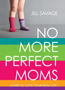 no more perfect moms book cover image