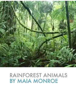 rainforest animals book cover image