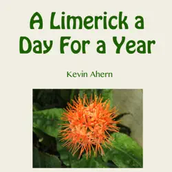 a limerick a day for a year book cover image