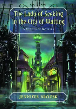 the lady of seeking in the city of waiting book cover image