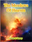 The Meadows of Heaven synopsis, comments