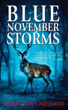 blue november storms book cover image