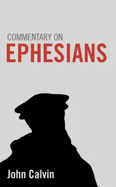 commentary on ephesians book cover image