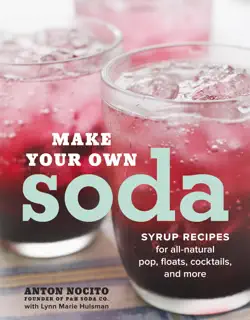 make your own soda book cover image