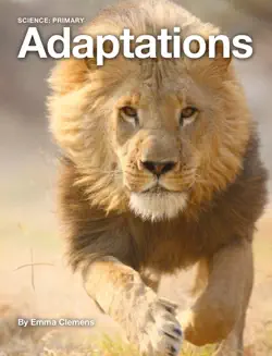adaptations book cover image