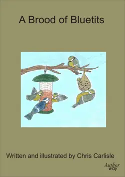 a brood of bluetits book cover image