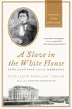 A Slave in the White House synopsis, comments