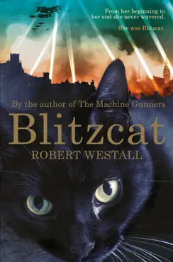blitzcat book cover image